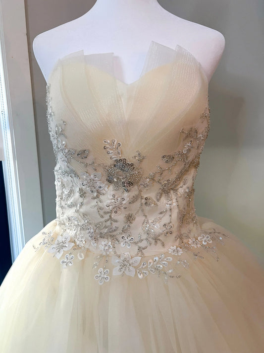 Champagne Ballgown Dress Corset Tie-up Back